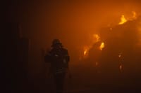 Миниатюра 8