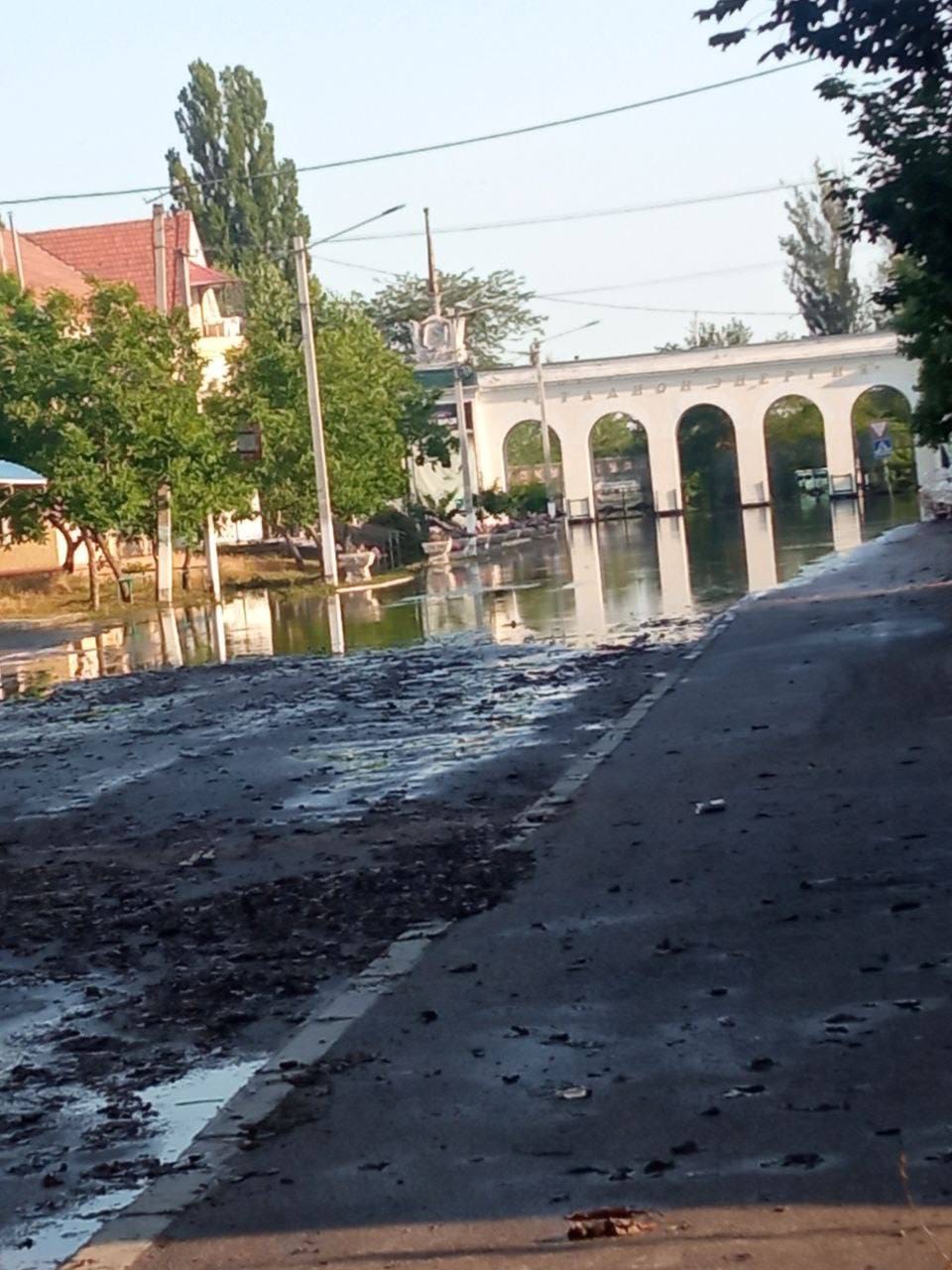 Изображение из галереи