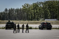 Миниатюра 4