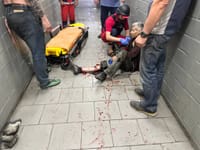 Миниатюра 7