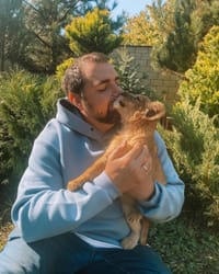 После реабилитации львят отправили в США