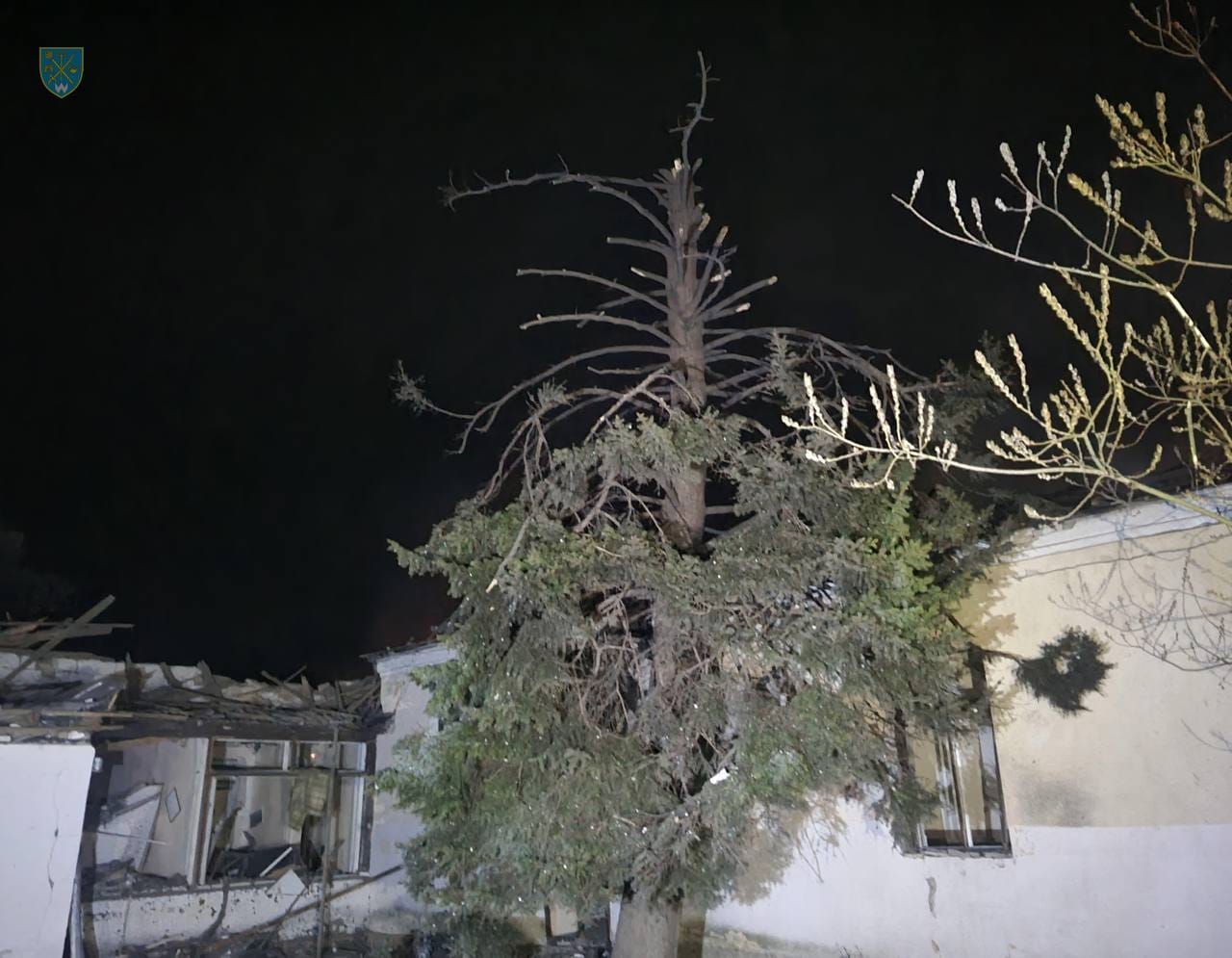 Изображение из галереи