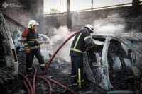 Миниатюра 8