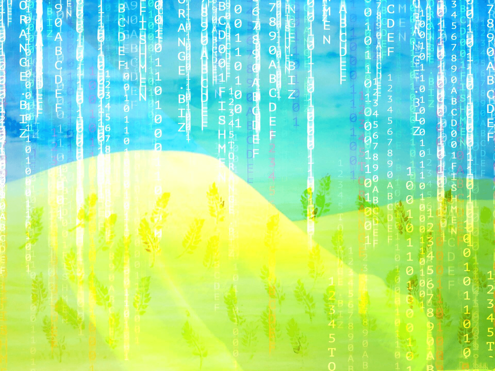 РБК: российские компании начали увольнять украинских IT-специалистов