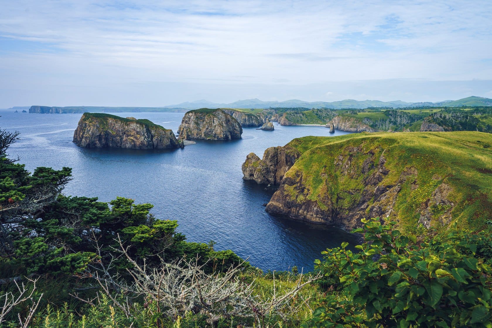 Россия запретила японцам рыбачить около Южных Курил из-за неуплаты по соглашению 1998 года