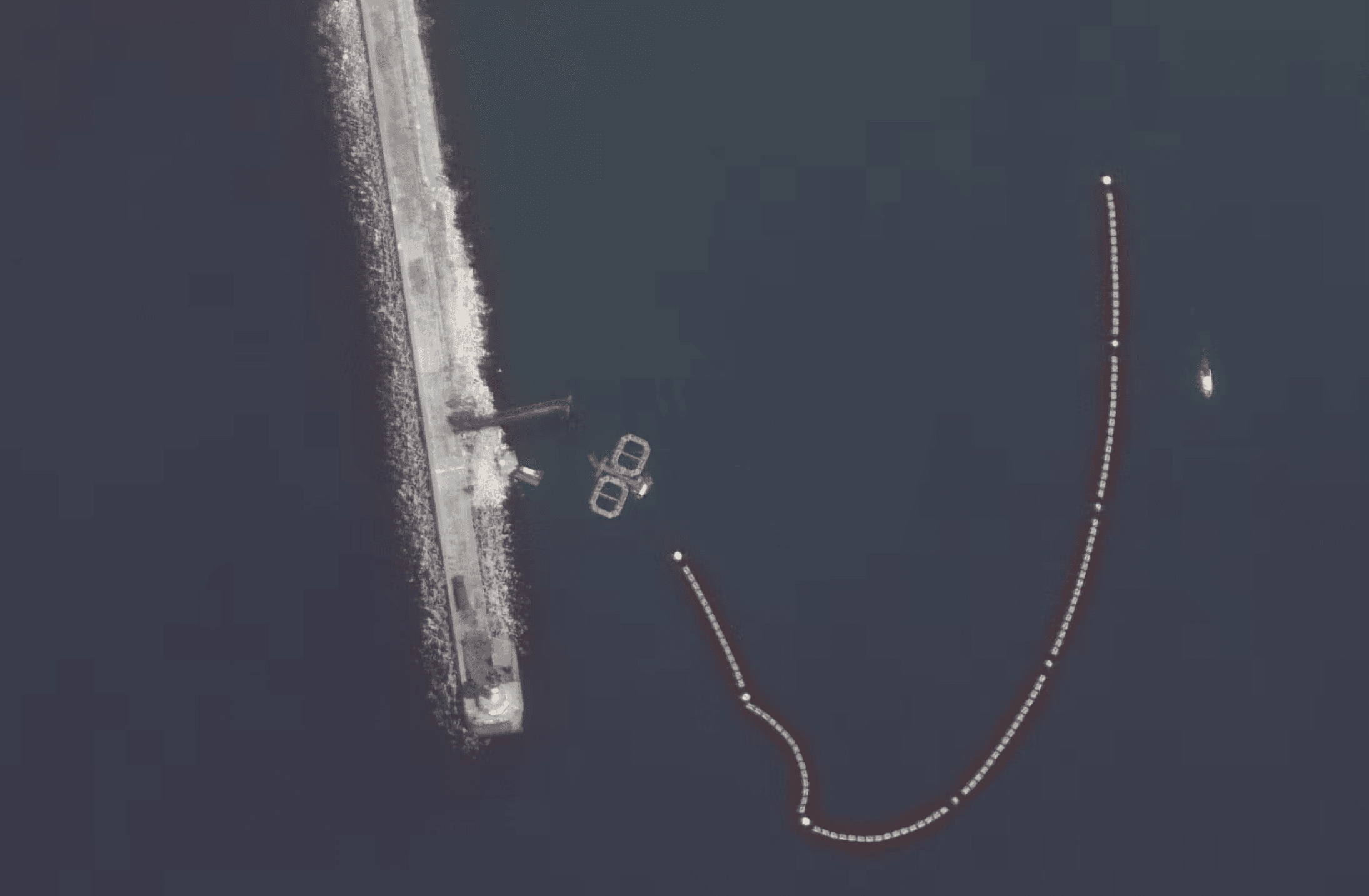 Россия использует боевых дельфинов для защиты бухты Севастополя после украинских атак — Naval News