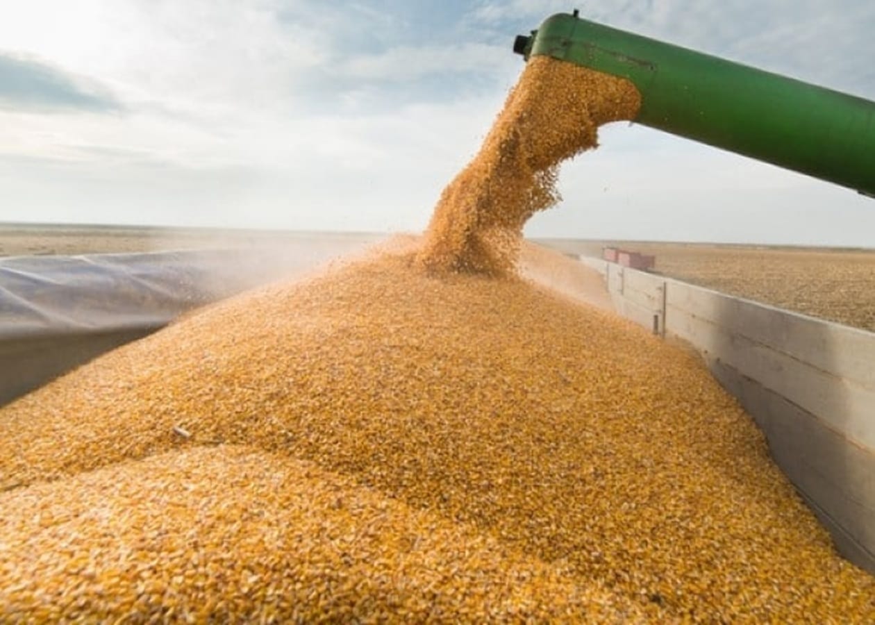 В Еврокомиссии договорились по экспорту украинской сельхозпродукции в ЕС