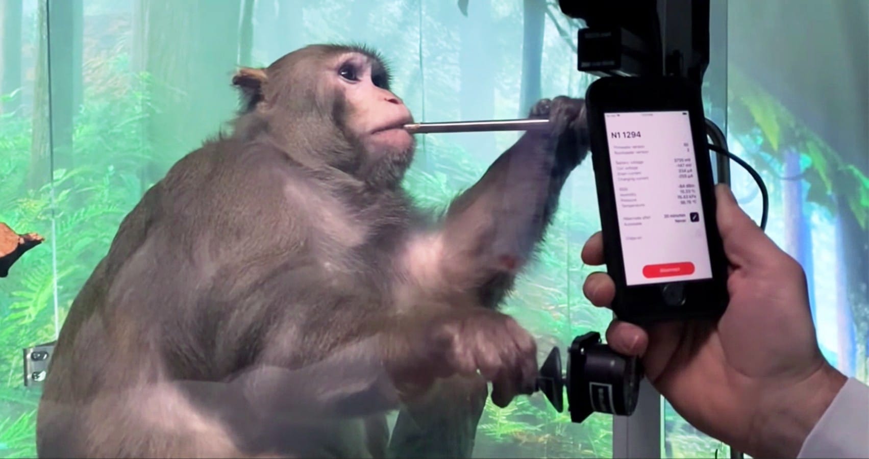 Компании Илона Маска Neuralink разрешили тестировать мозговые чипы на людях