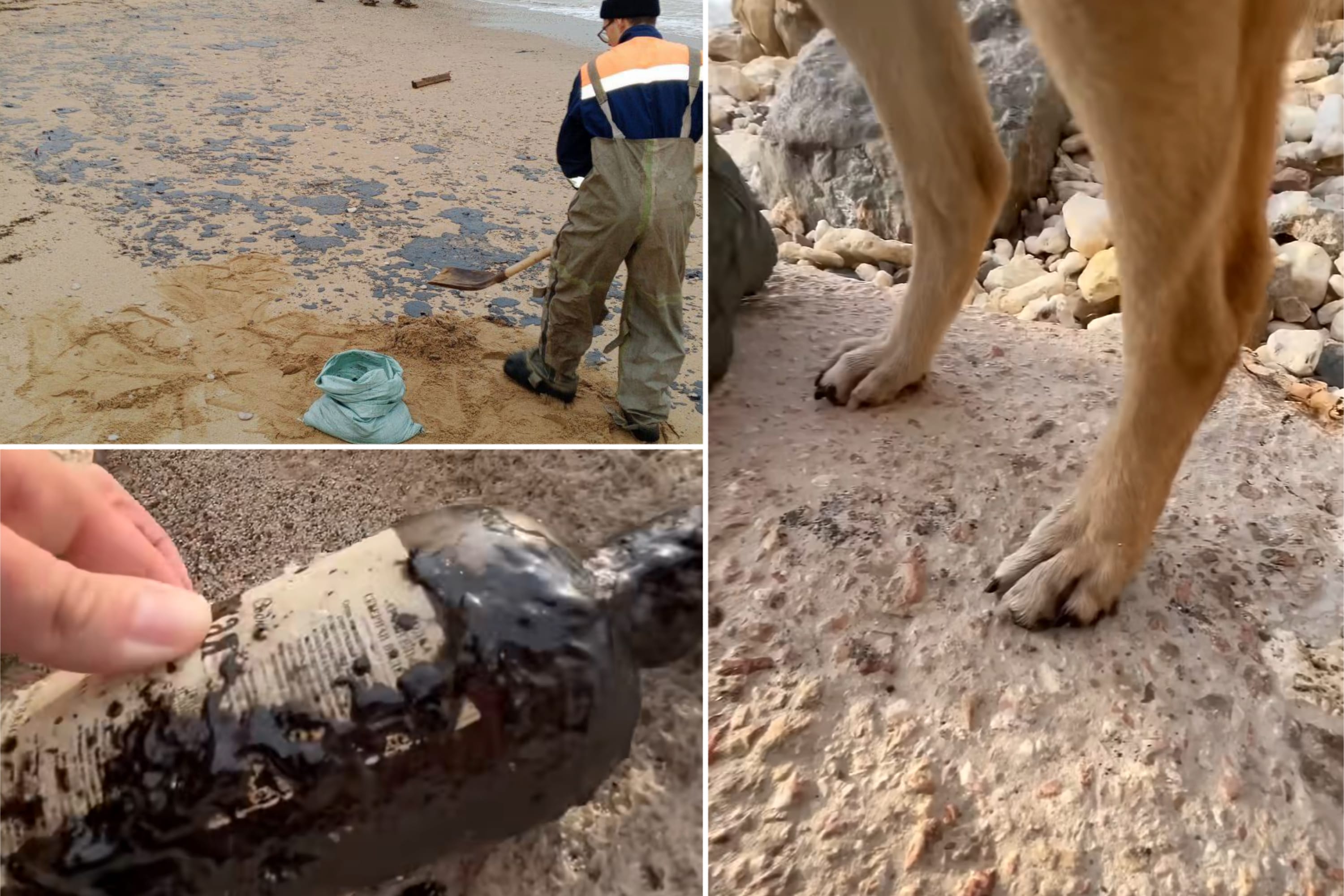 На всех основных пляжах Севастополя обнаружен мазут, объявлен режим ЧС