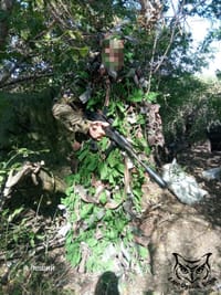 Миниатюра 8