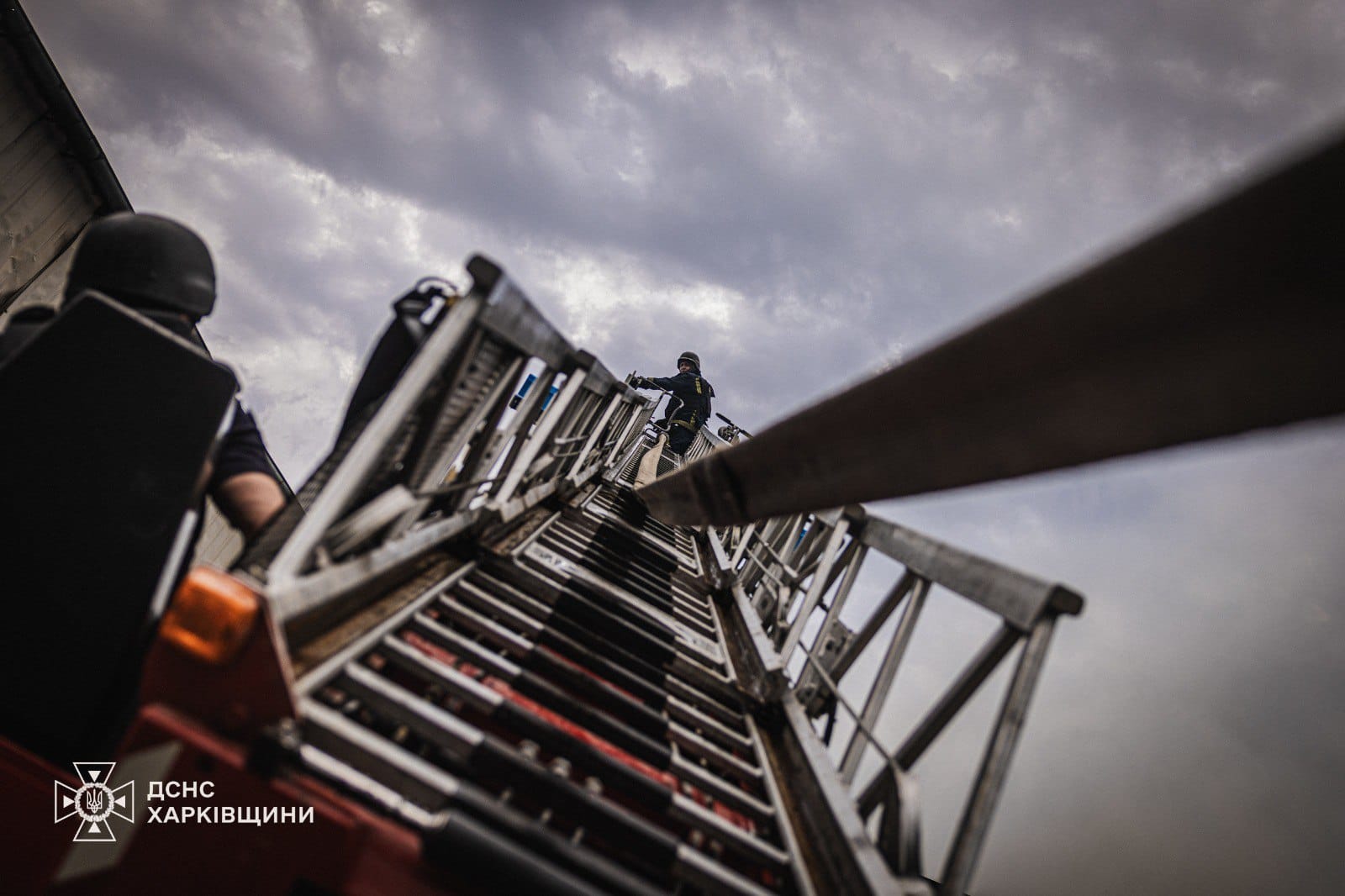 Изображение из галереи