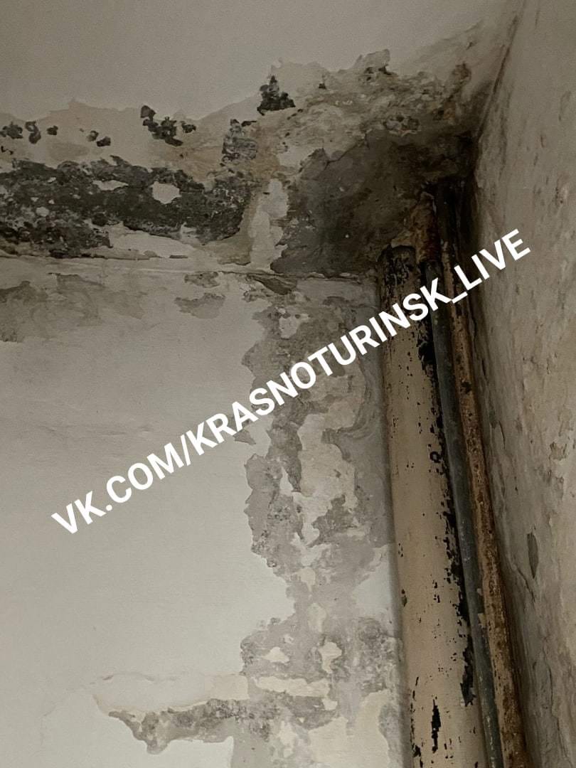 Изображение из галереи