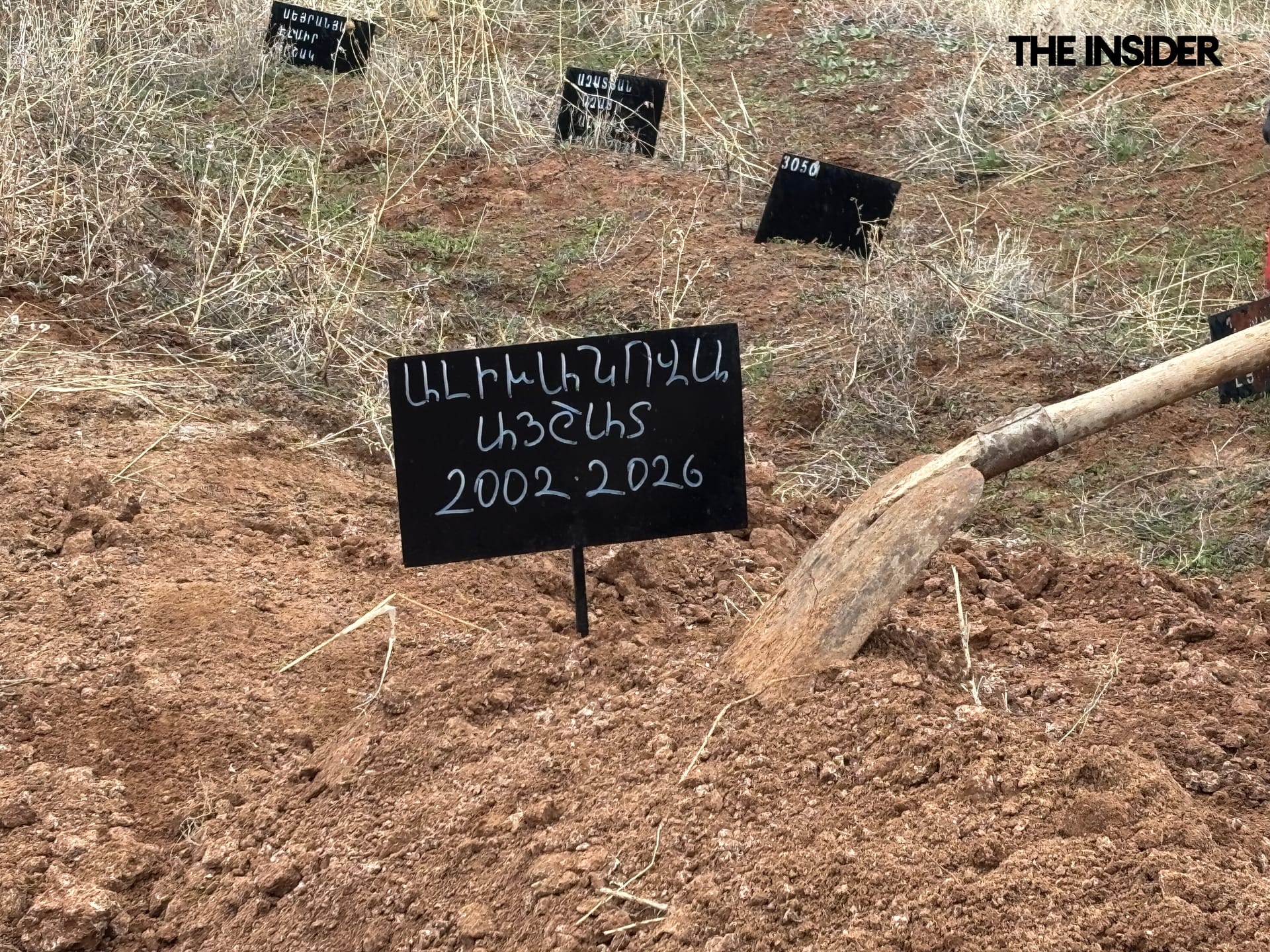 Изображение из галереи