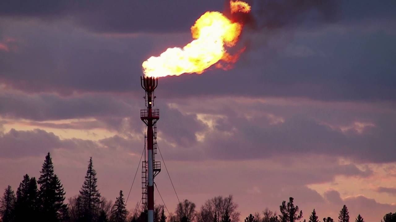 Bloomberg: Решение ОПЕК сократить добычу ускорит отказ мира от нефти и газа