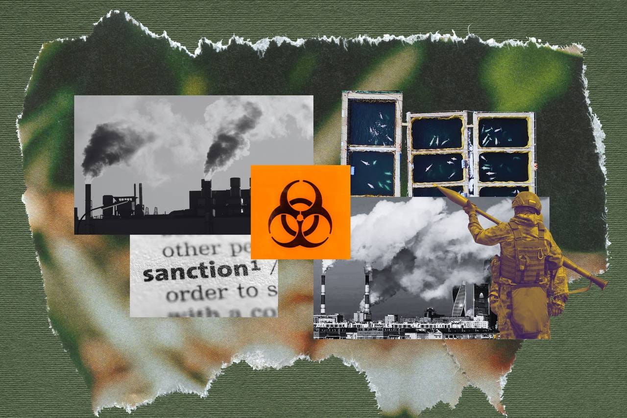 Природа цвета хаки. Как милитаризация российской экономики уничтожает экологию