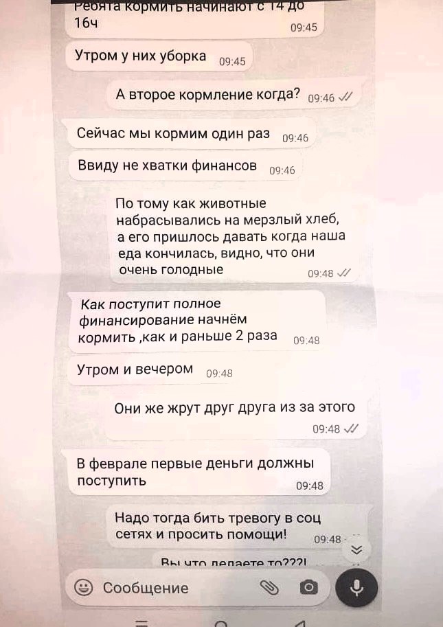 Скриншот сообщений руководителя якутского приюта Екатерины Безрученко, которая признает кормление животных раз в сутки