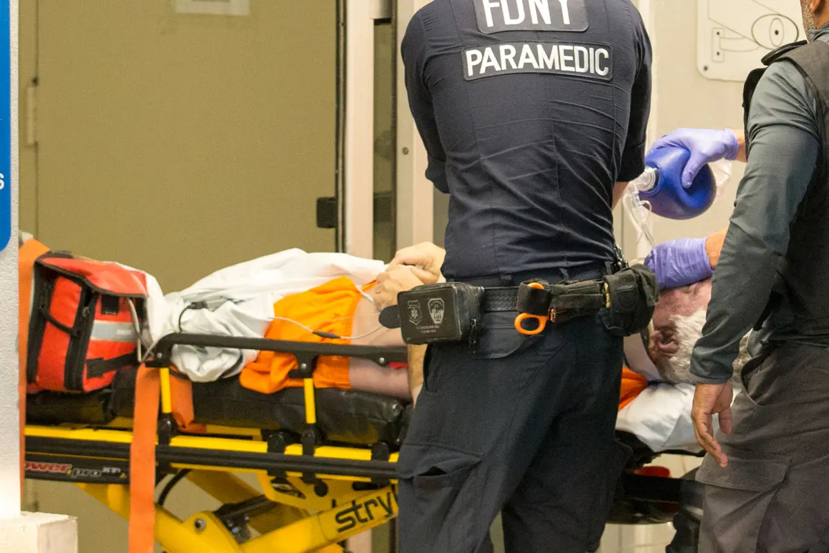 Тело Эпштейна