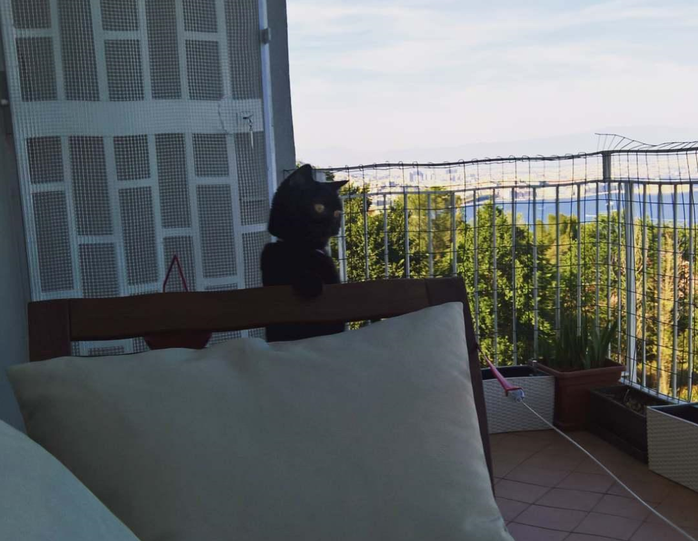 Источник: Instagram Марии «Аделы»