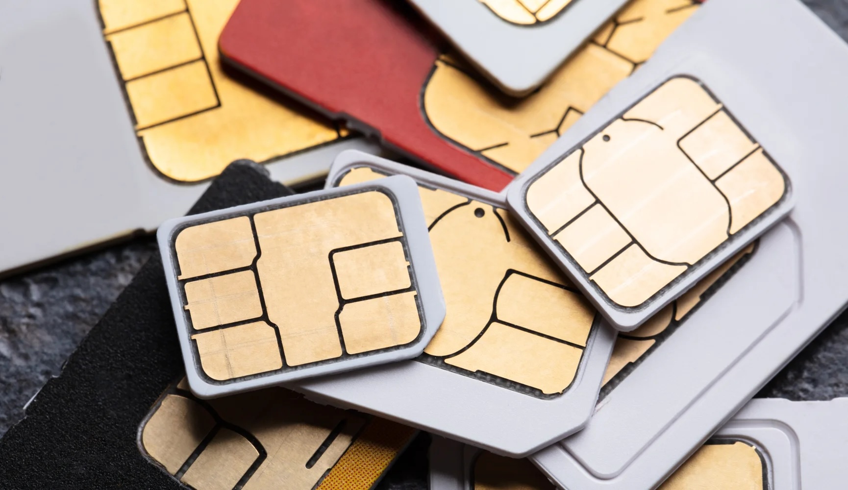 Фото: Shutterstock/FOTODOM